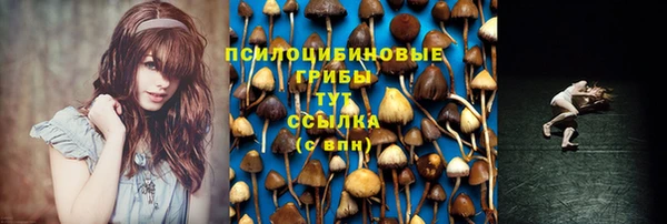 apvp Абдулино