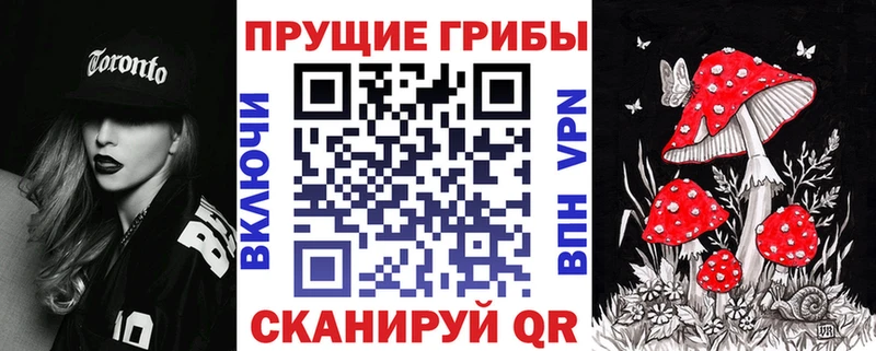 Псилоцибиновые грибы Magic Shrooms  купить закладку  Тбилисская 